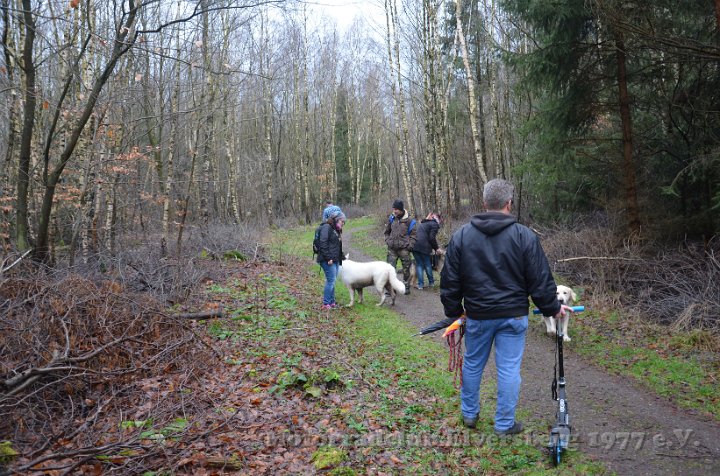 Wandertag 2016 - 099.jpg